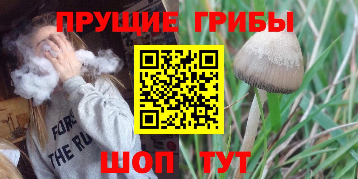 Псилоцибиновые грибы GOLDEN TEACHER  Вход с VPN  Северодвинск 