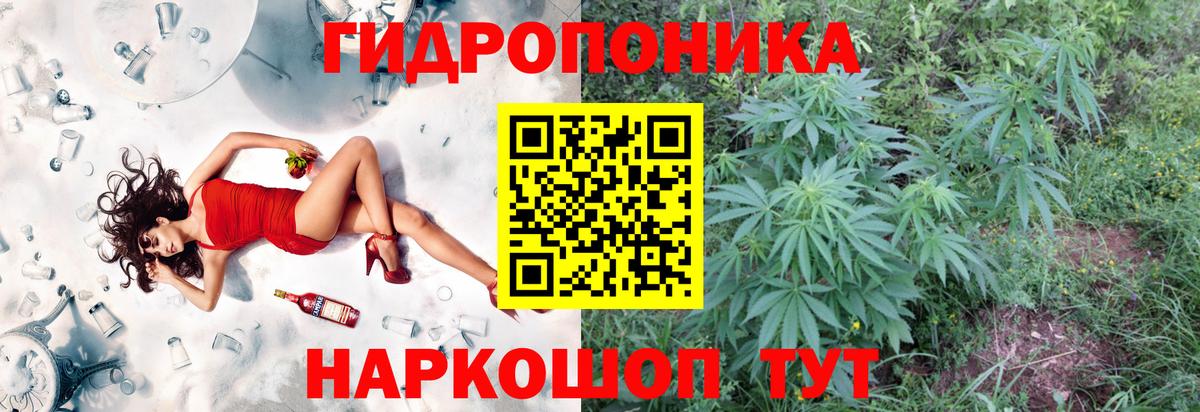 Бошки Шишки MAZAR Северодвинск